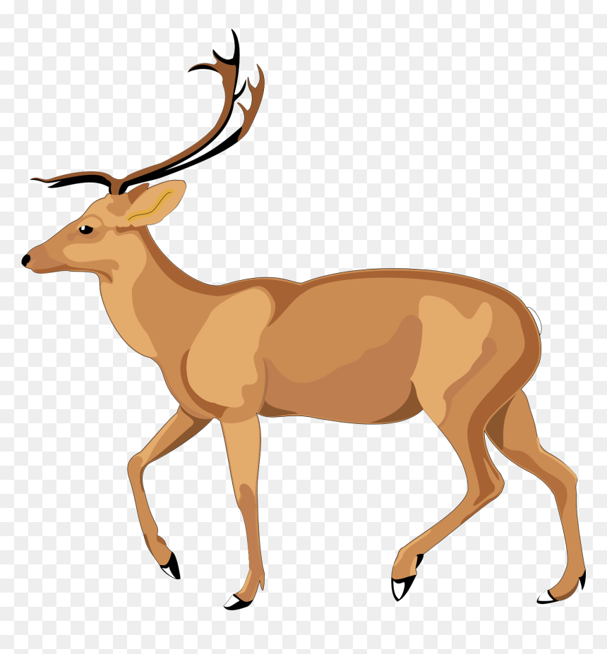Parallax Setting, HD Png Download - antelope png