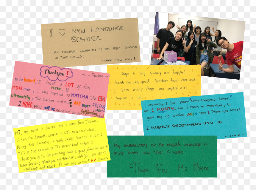Document, HD Png Download - nyu png