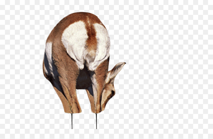 Montana Decoy Co. Antelope Buck And Doe Combo Decoy, HD Png Download - antelope png