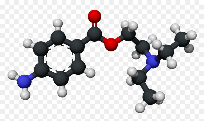 Procaine 3d Xray - Ball-and-stick Model, HD Png Download - xray png