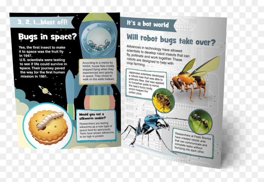 Brochure, HD Png Download - bug eyes png