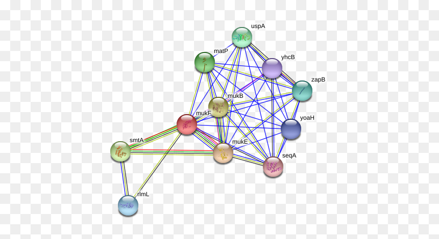 Mukf Protein, HD Png Download - muk png
