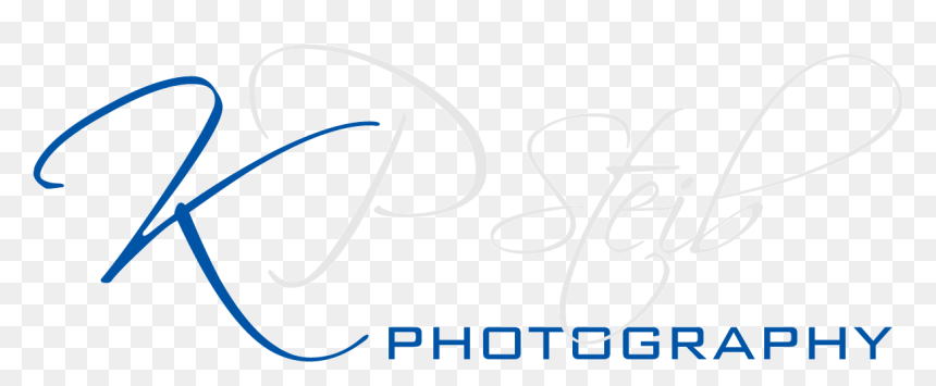 Dorothy Perkins , Png Download - K Photography, Transparent Png - dorothy png
