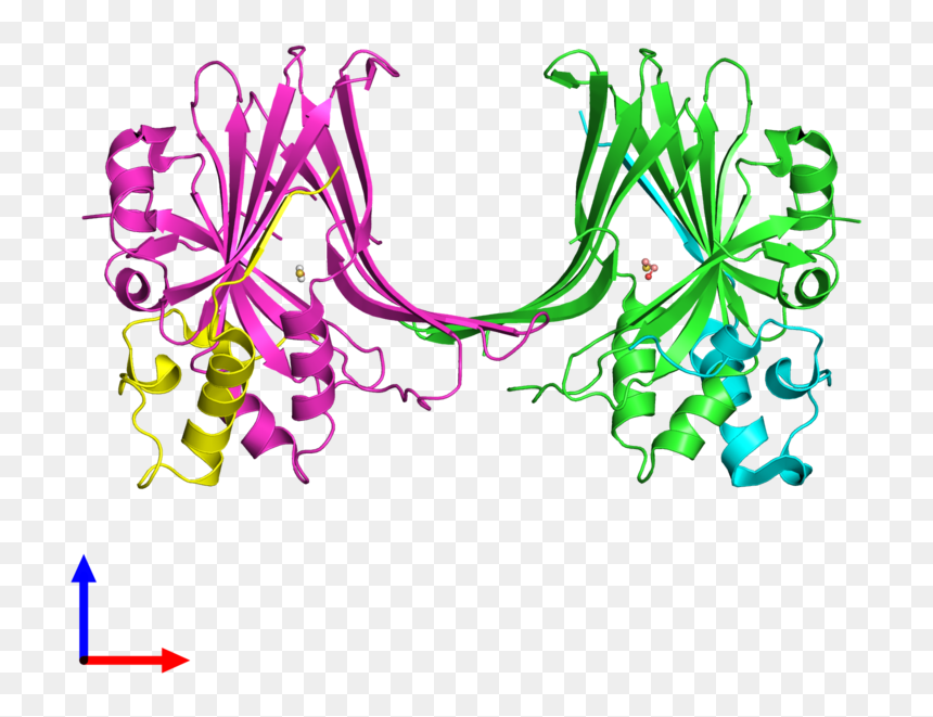 Pdb 3kys Coloured By Chain And Viewed From The Front - Graphic Design, HD Png Download - kys png