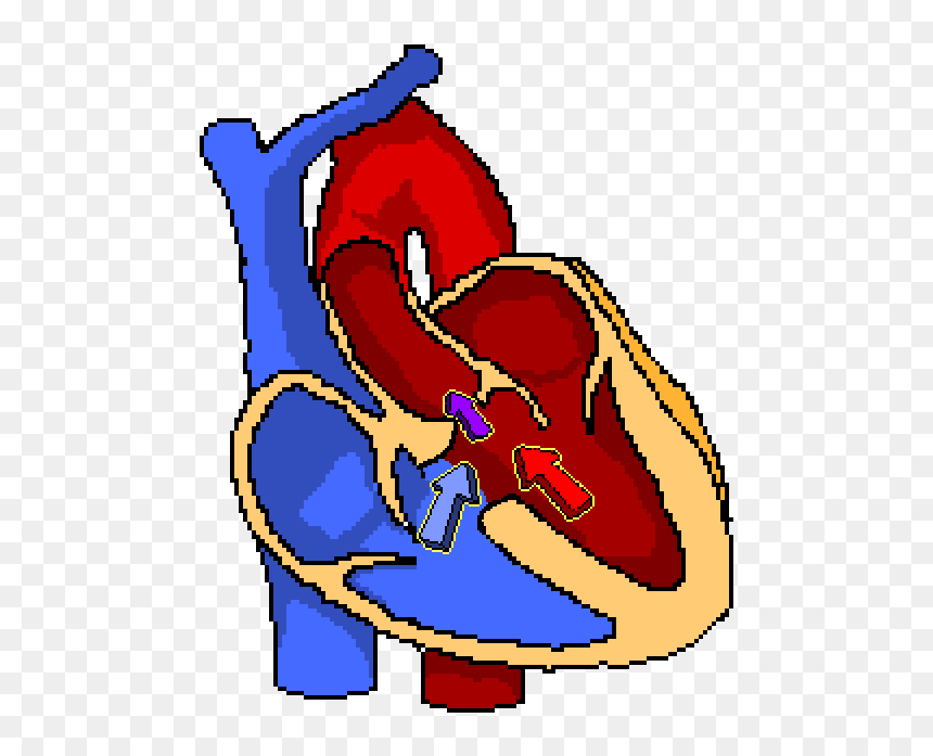 Tetralogy Of Fallot - Clip Art, HD Png Download - crosshair .png