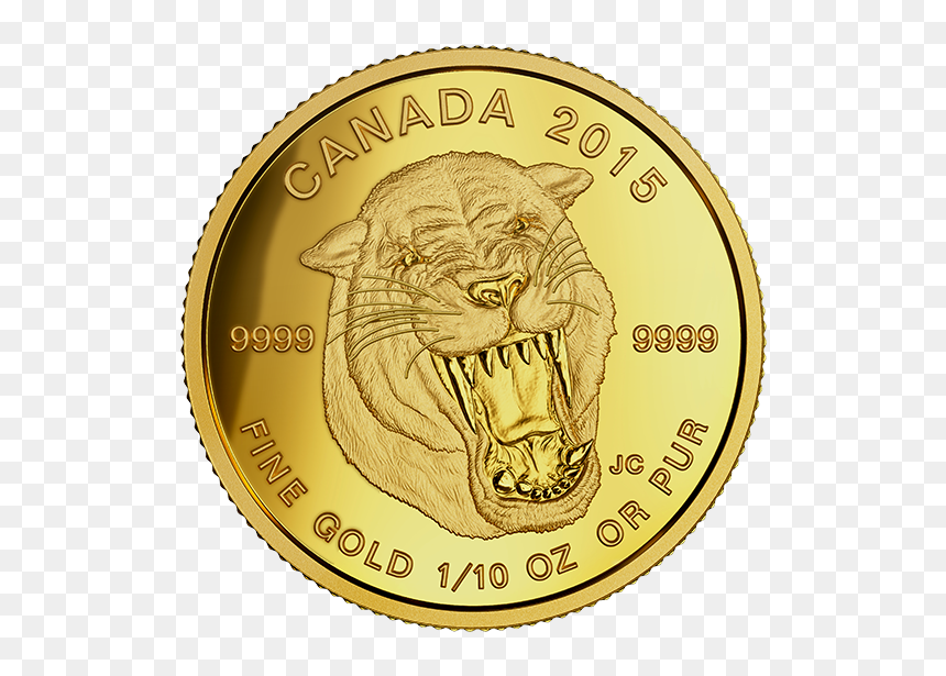 Somalia Elephant 2019 Gold Coin, HD Png Download - scimitar png