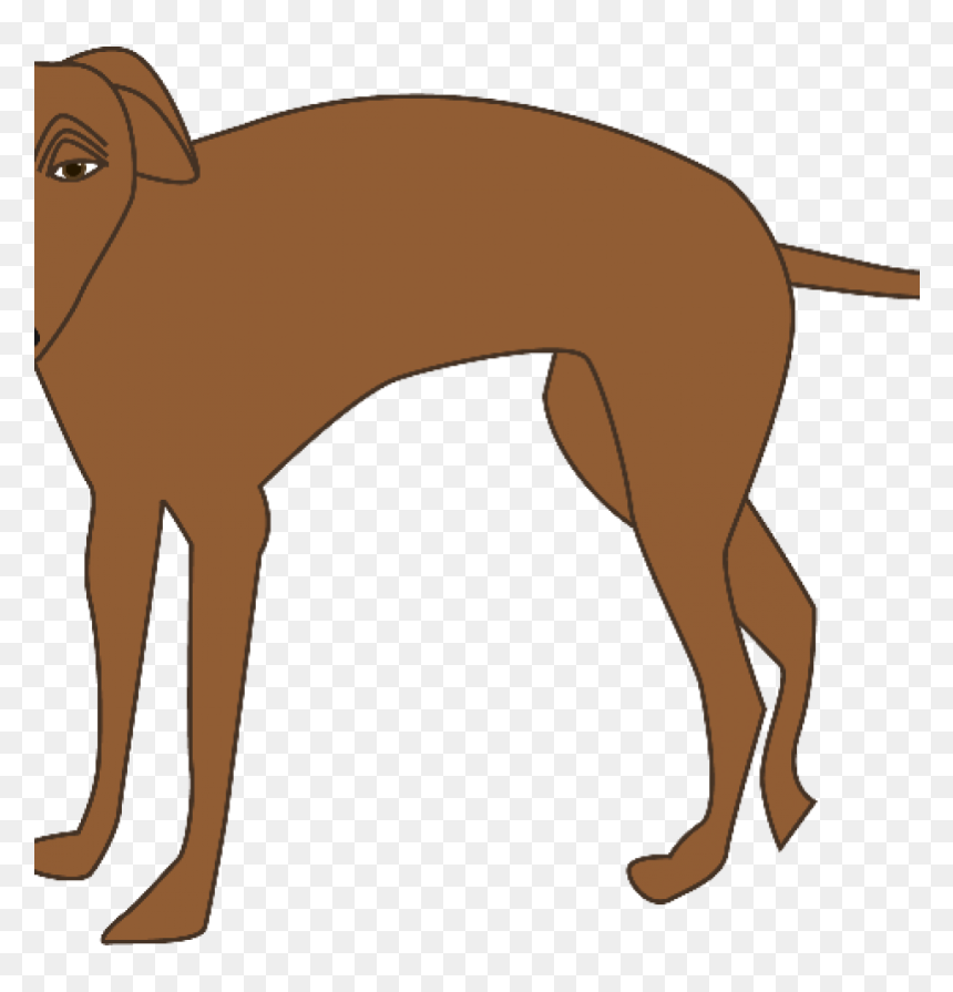 Reggie"s Future Pee Tree - Magyar Agár, HD Png Download - pee png