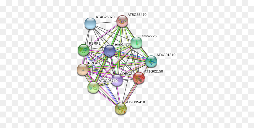 At1g02150 Protein - Circle, HD Png Download - eg2 png