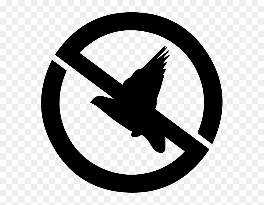 Public Domain, HD Png Download - bird icon png