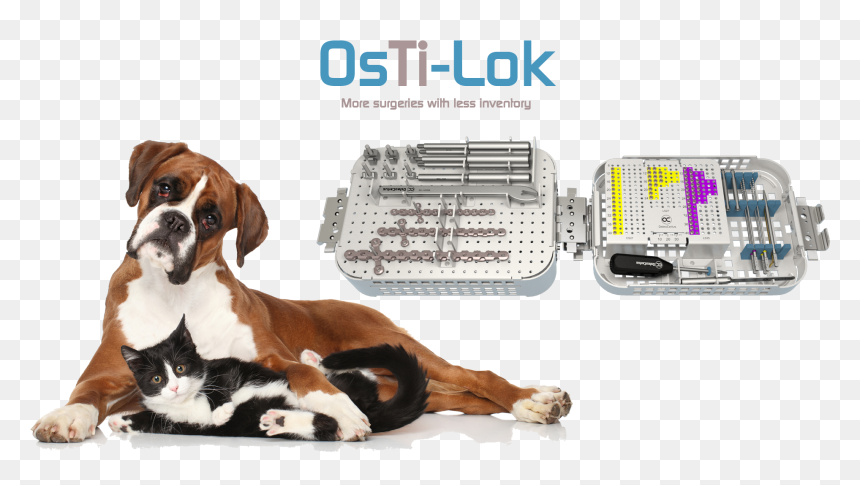 Perros Acostados Png, Transparent Png - offering plate png