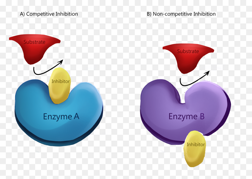 Enzyme Inhibitors, HD Png Download - sanofi logo png