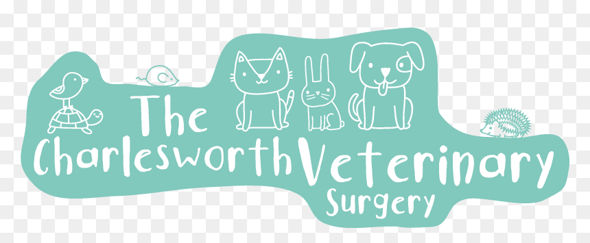 Vets Mainlogo Teal - Cat, HD Png Download - billy and mandy png