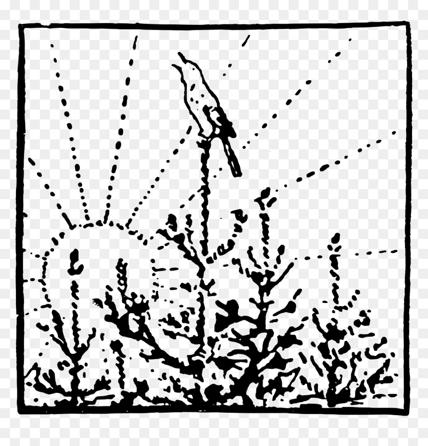 Illustration, HD Png Download - black vignette png