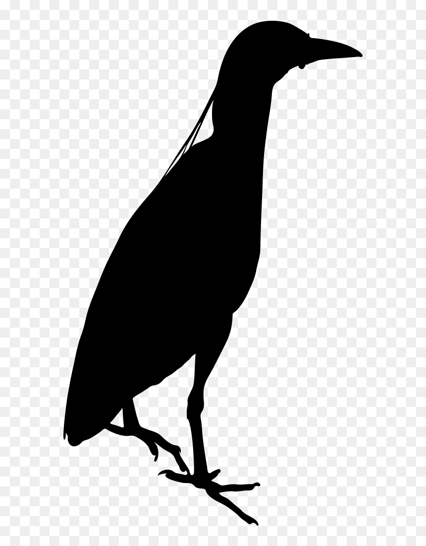 Black Birds In Night, HD Png Download - bird icon png
