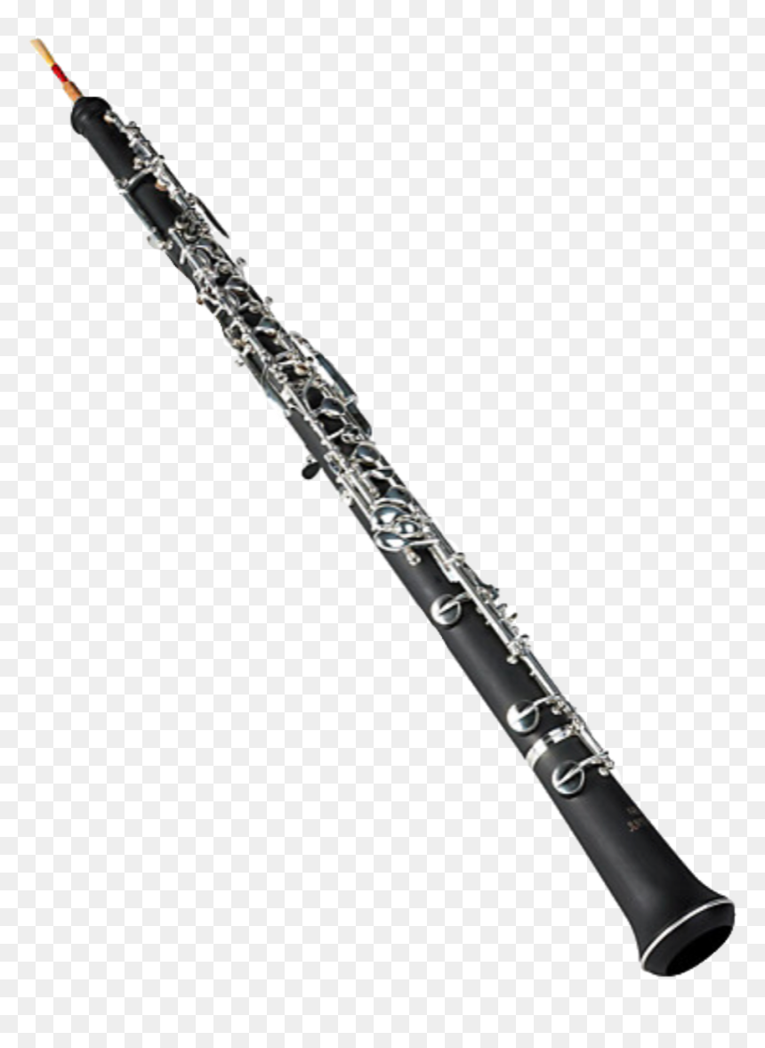 Oboe Drawing Color - Harry Potter Narcissa Wand, HD Png Download - oboe png