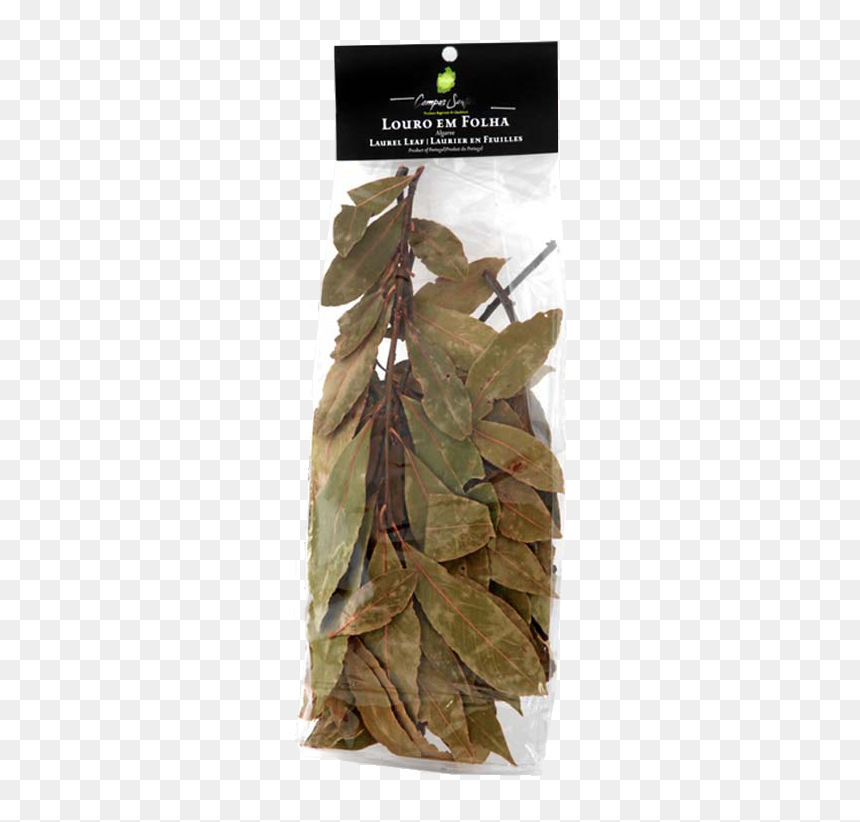 Macrocystis, HD Png Download - laurel leaf png