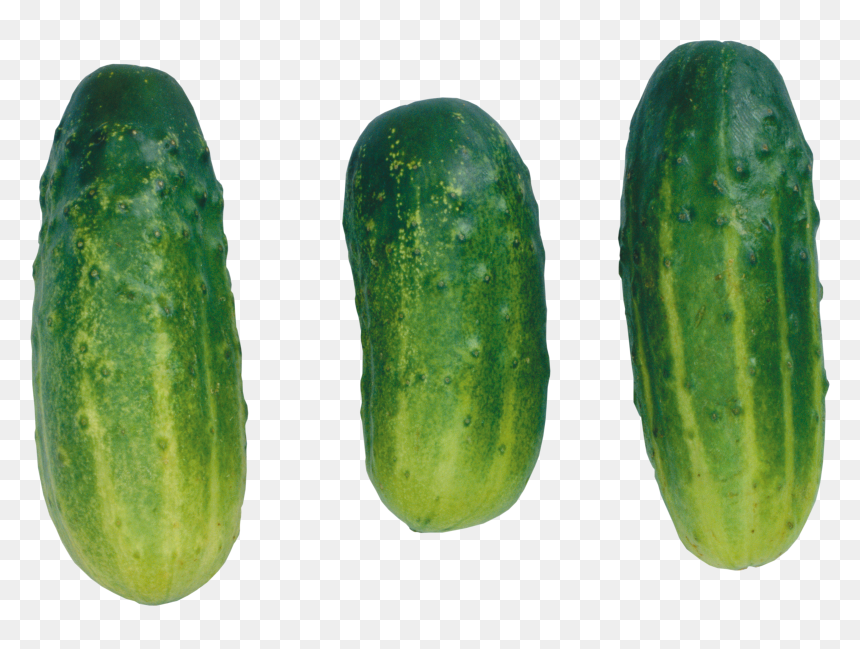 Cucumber Png - Cucumbers Clip Art, Transparent Png - cucumbers png