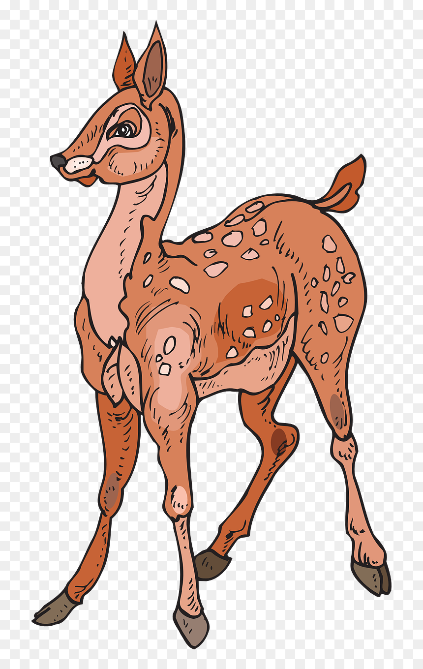 Лань Вектор, HD Png Download - doe png