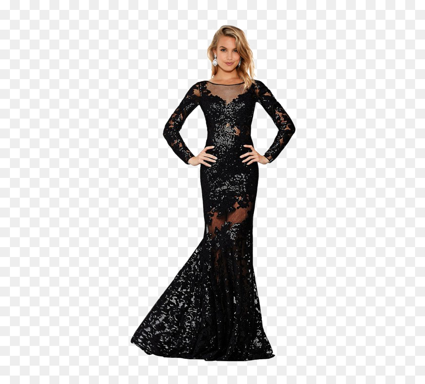 Long Sleeve Dress Transparent Background Png - Roberto Cavalli Black Dress Snake, Png Download - lace background png