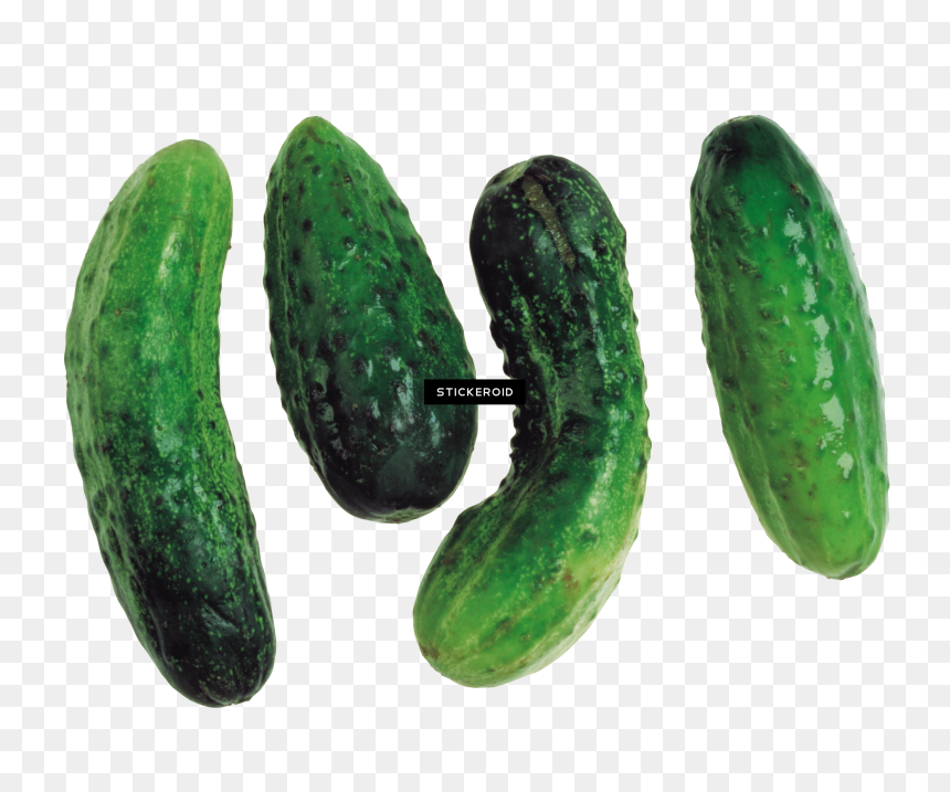 Cucumber , Png Download - Portable Network Graphics, Transparent Png - cucumbers png