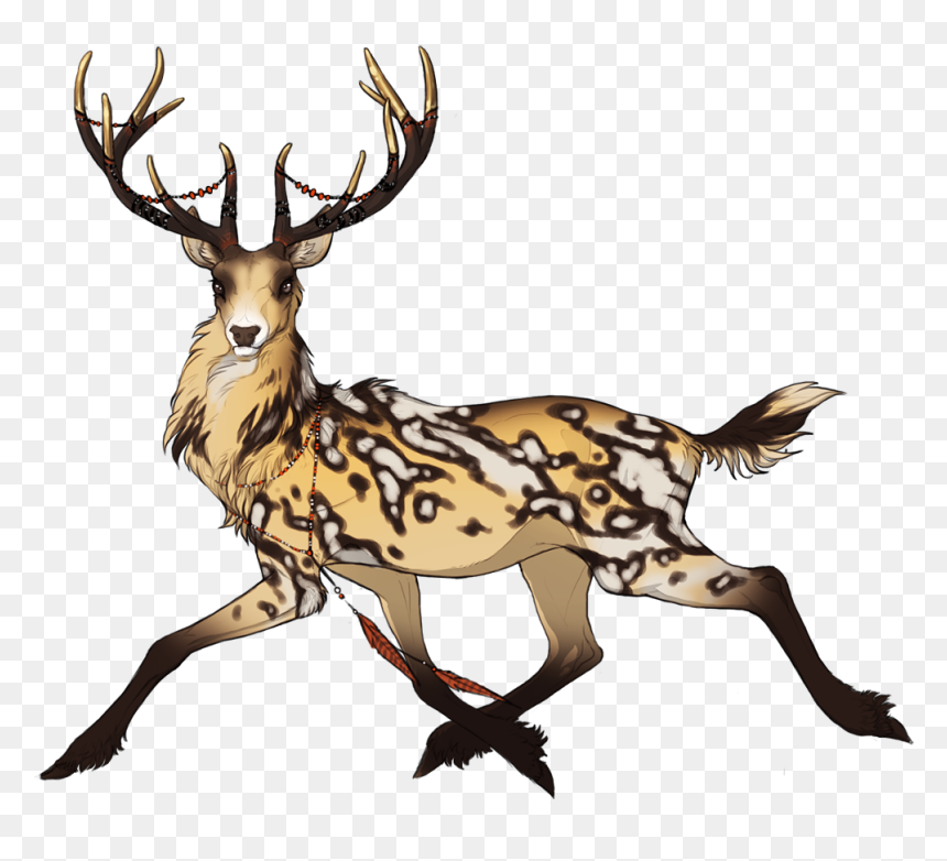 Elk Clipart Doe - Antler, HD Png Download - doe png