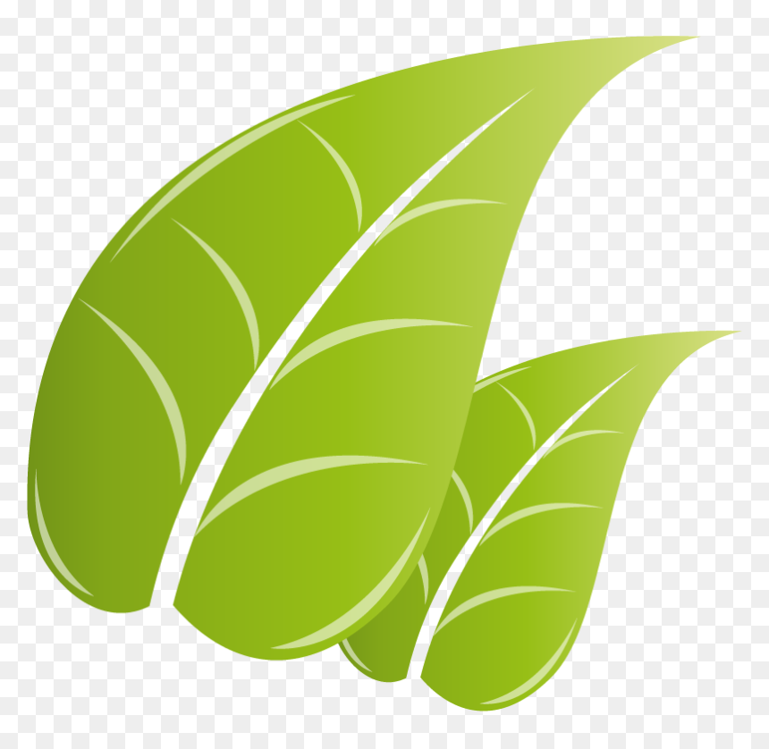 Illustration, HD Png Download - pot leaf transparent png