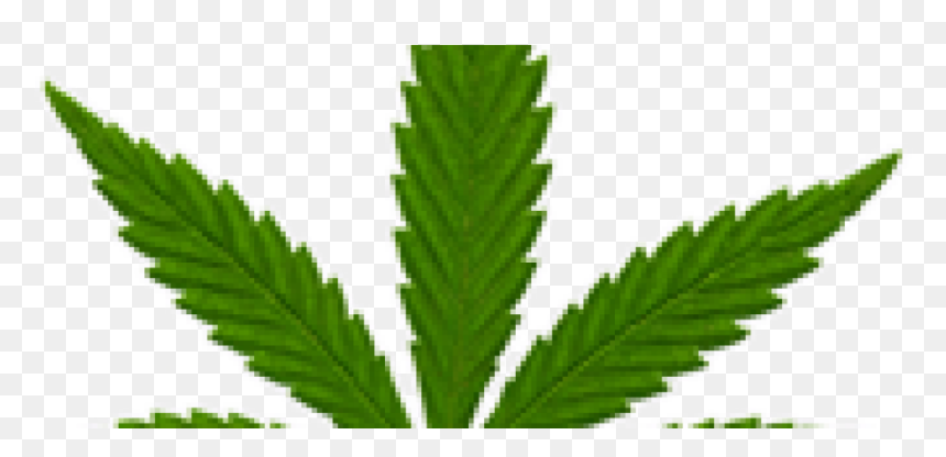 Marijuana Leaf Small, HD Png Download - pot leaf transparent png