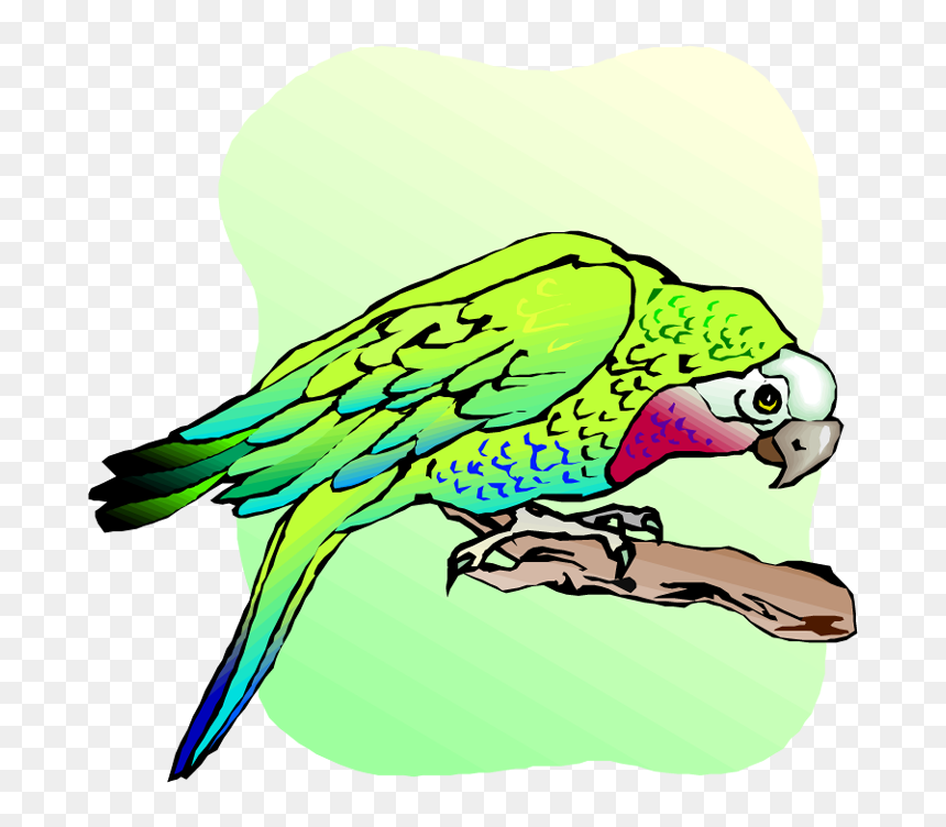 Free Parrot And Macaw Clipart - Clip Art, HD Png Download - budgie png