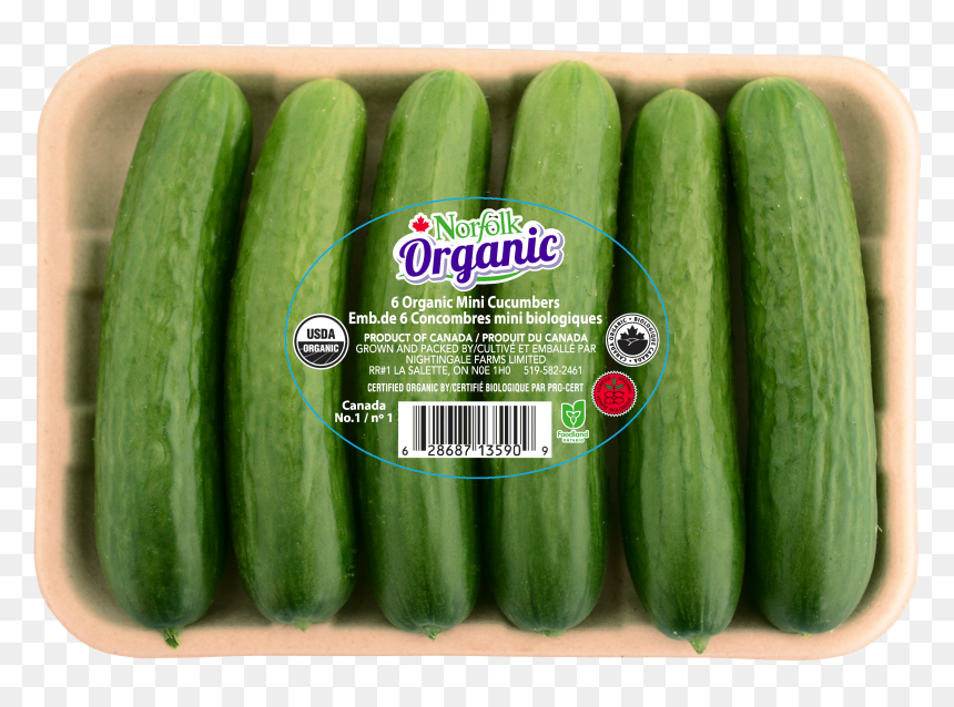 Cucumbers Png, Transparent Png - cucumbers png