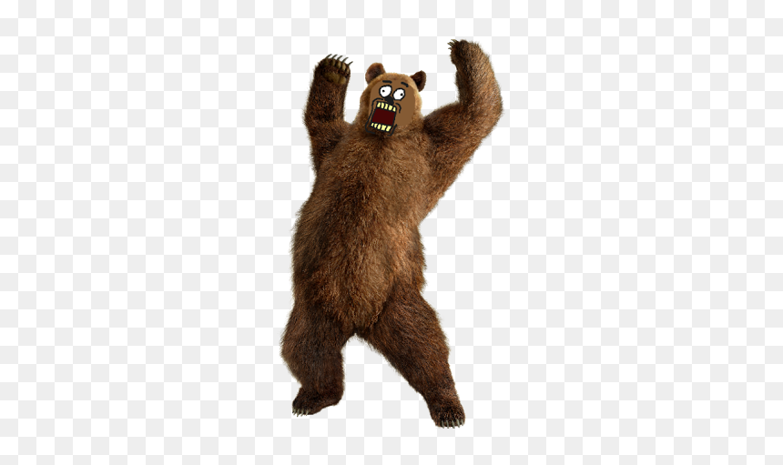 Bear Attack Transparent, HD Png Download - mlg gun png
