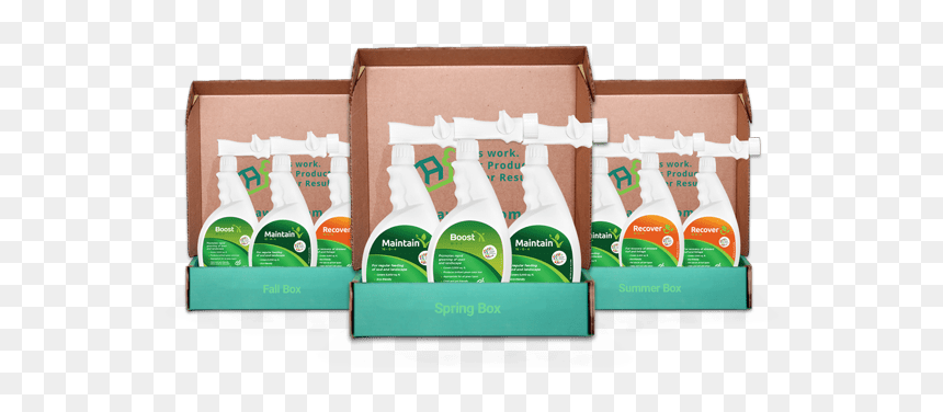 Lawnifi Spring Box, HD Png Download - grass blade texture png