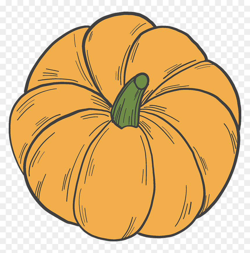 Pumpkin, HD Png Download - thanksgiving .png