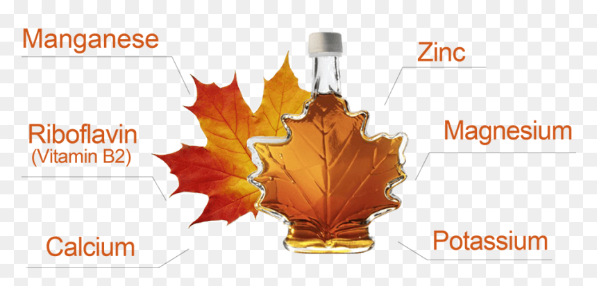 Canadian Maple Syrup Hidden Content - Autumn, HD Png Download - meme png pack