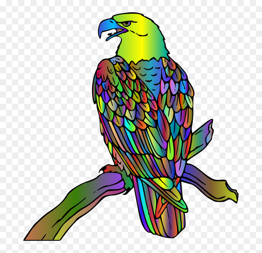 Macaw, HD Png Download - budgie png