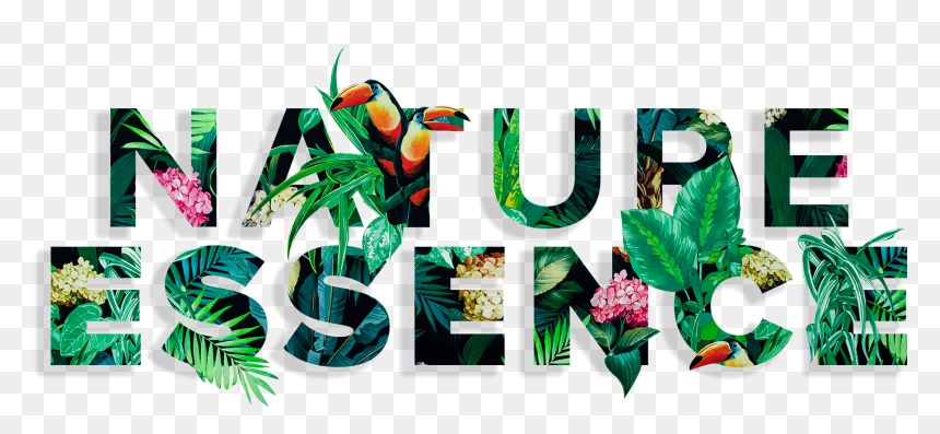 Graphic Design, HD Png Download - tropical island png