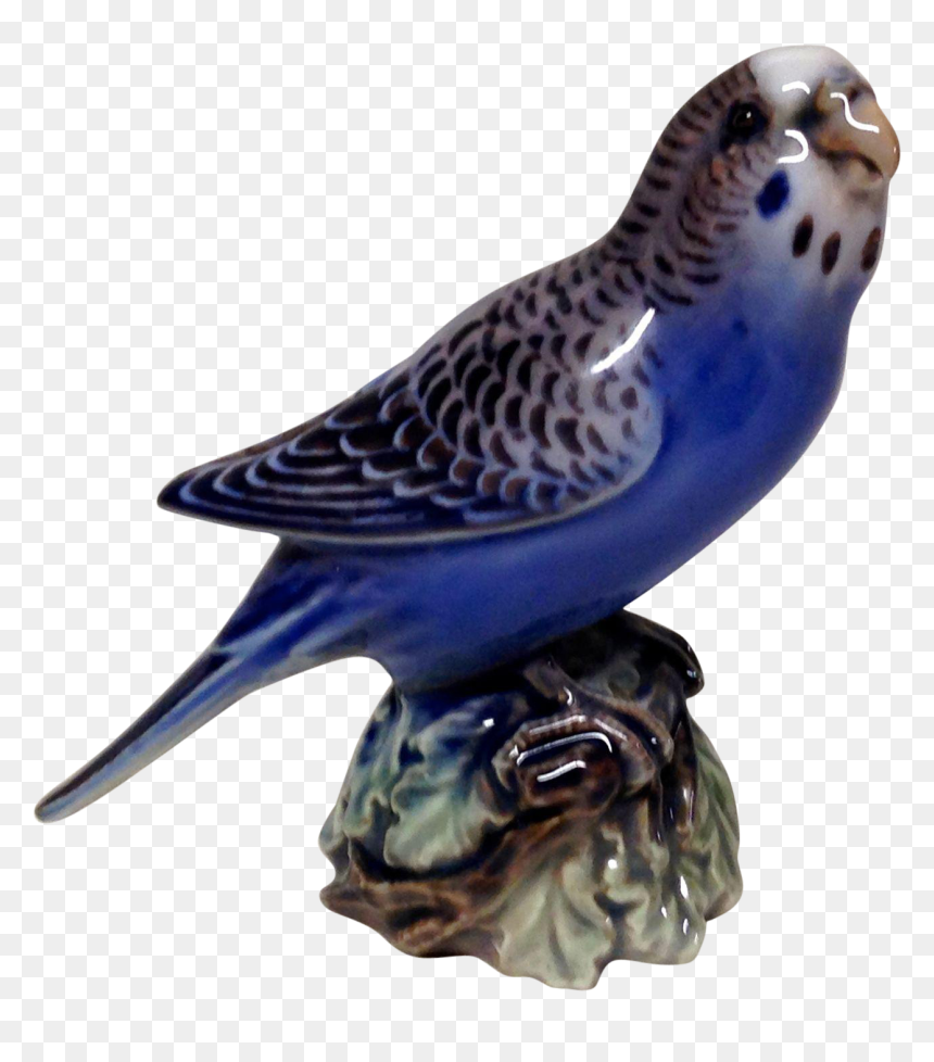 Budgerigar, HD Png Download - budgie png