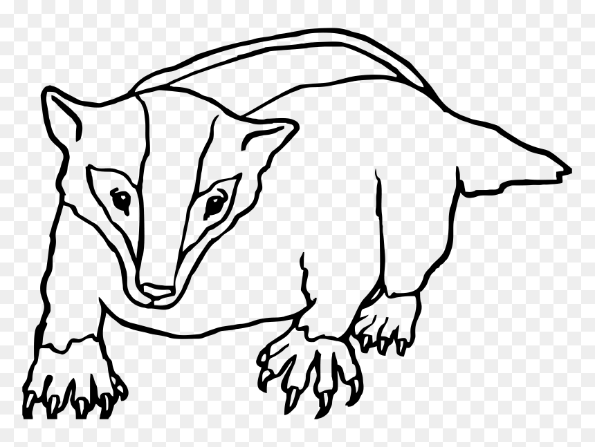 Badger Clipart Black And White - Badger Cartoon Black And White, HD Png Download - honey badger png