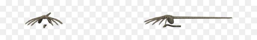 Download Zip Archive - Magpie, HD Png Download - facehugger png