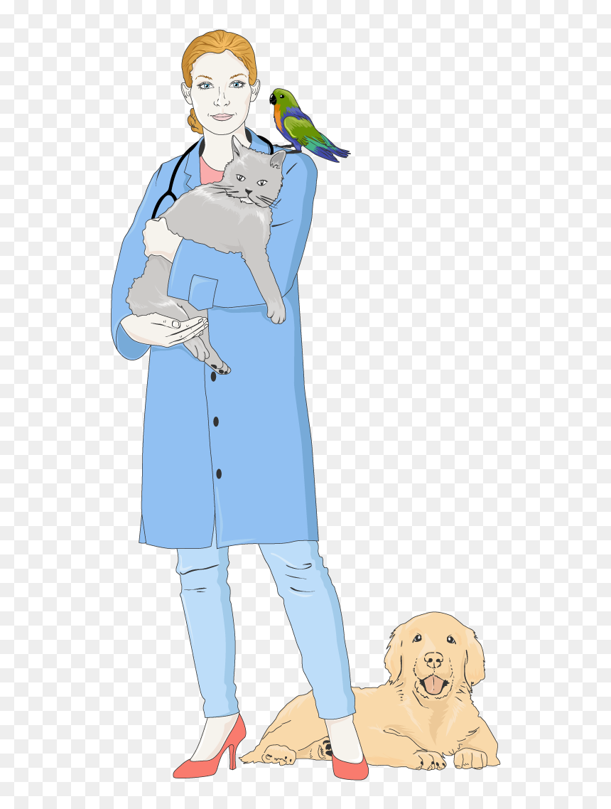 Cartoon, HD Png Download - budgie png