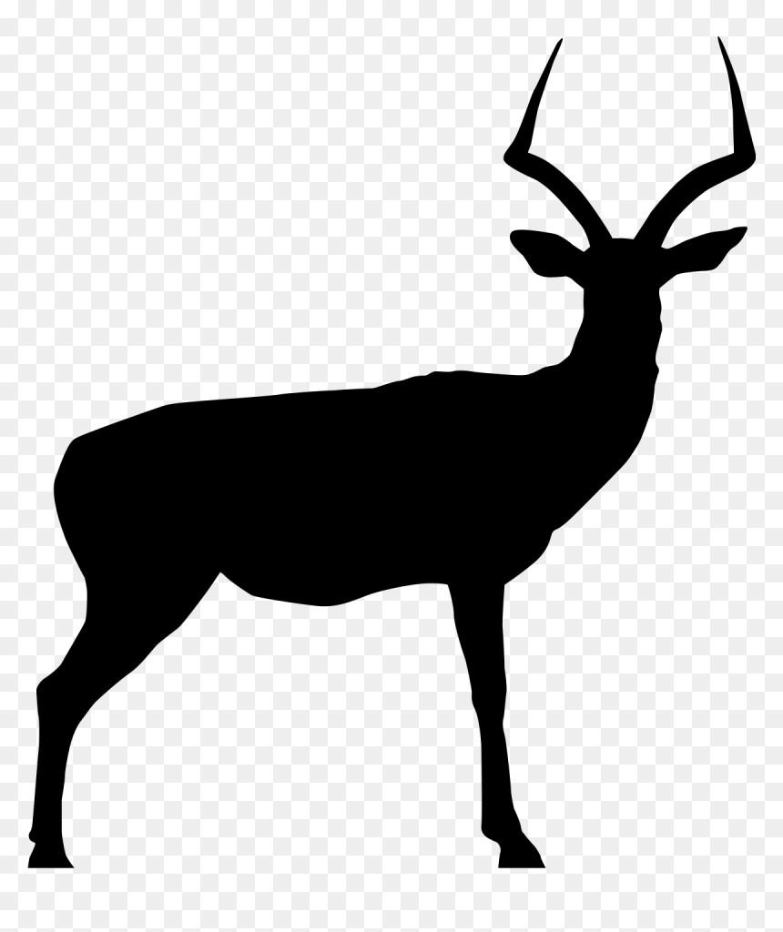 Impala Clip Art, HD Png Download - impala png