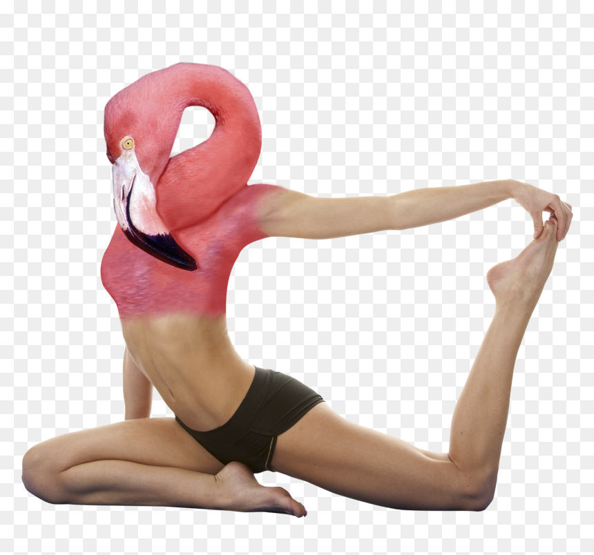 Png Cutouts Yoga - Cut Out Yoga People, Transparent Png - png cutouts