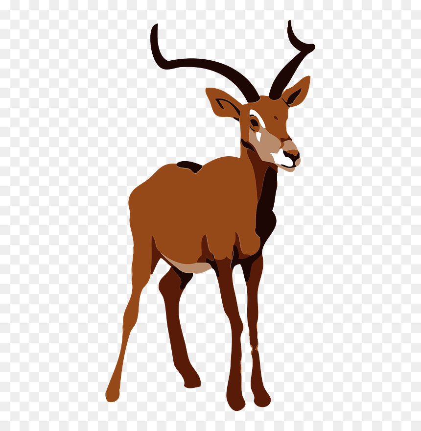 Impala Animal Clipart - Impala Clipart Png Transparent, Png Download - impala png