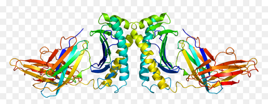 Protein Hfe Pdb 1a6z - Metabolism Disorder, HD Png Download - gene png