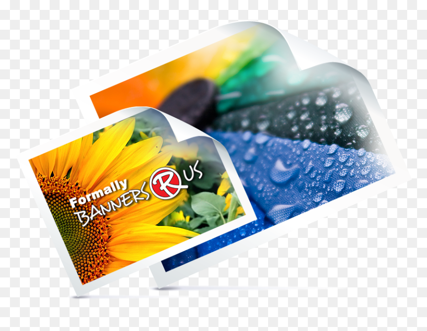 Transparent Vinyl Banner Png - Vinyl Print Png, Png Download - vinyl banner png