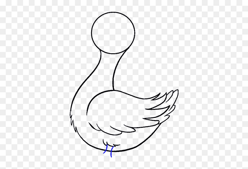 How To Draw Duck - Рисовать Утка, HD Png Download - duck head png