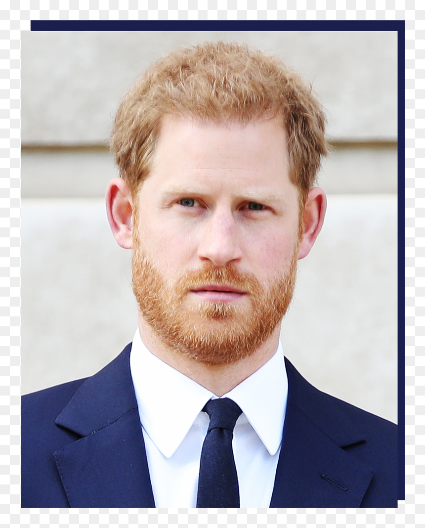 Nigel Farage And Prince Harry - Lady Diana Sons, HD Png Download - nigel farage png
