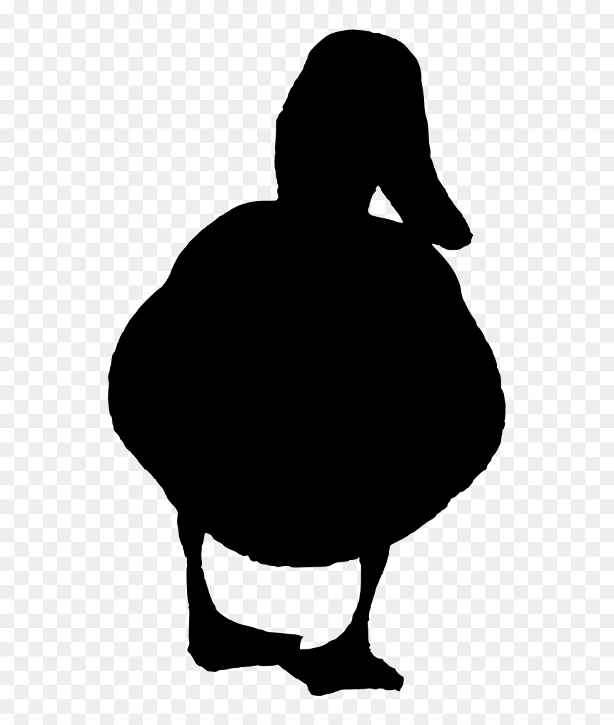 Illustration, HD Png Download - duck head png