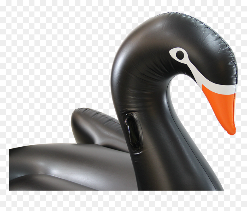 Taiwan Inflatable Pool Toy, Taiwan Inflatable Pool - Swan, HD Png Download - black swan png
