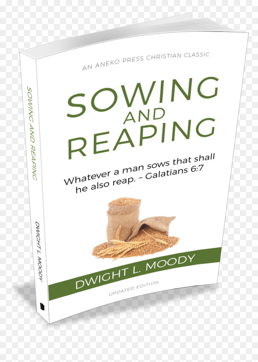 Book Cover, HD Png Download - amazon box png