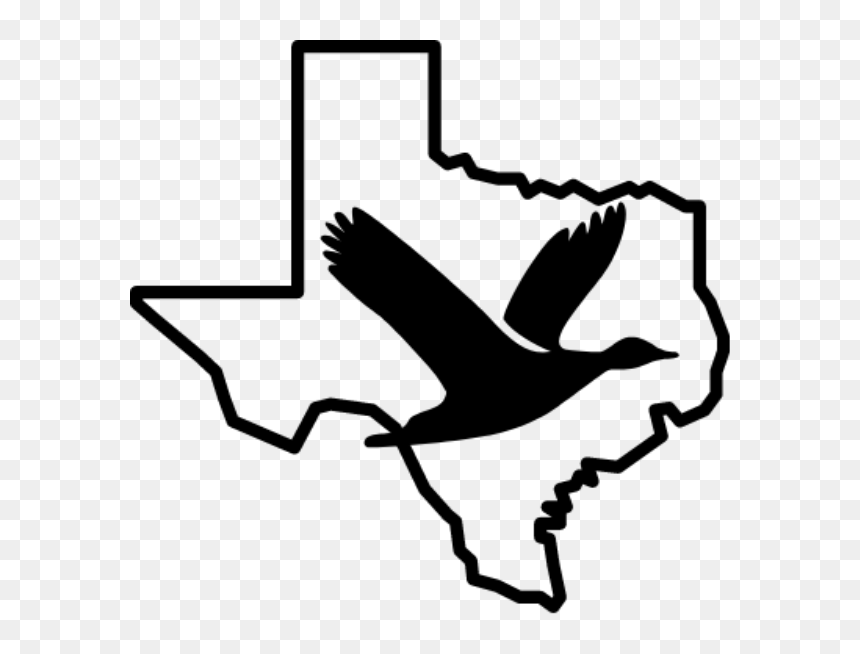 Icons San Antonio Clipart , Png Download - Cbd Texas, Transparent Png - san antonio skyline silhouette png